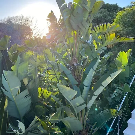 Casa Bodhi Boutique & 5*