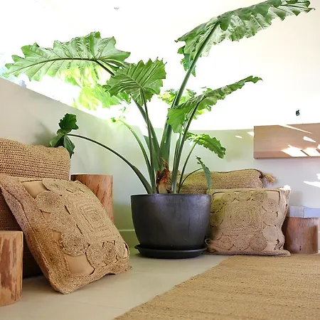 Casa Bodhi Boutique & מארבלה