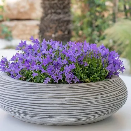 מלון Casa Bodhi Boutique &