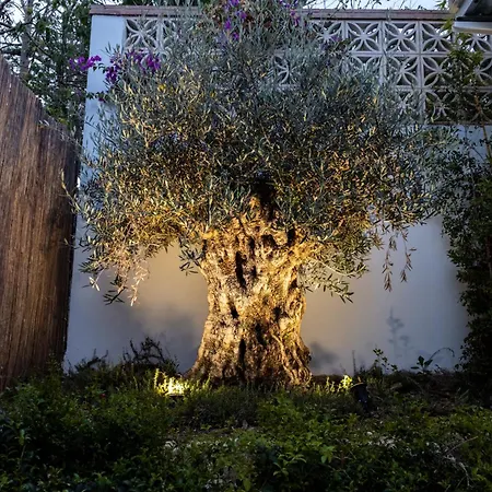 酒店 Casa Bodhi Boutique & 马尔韦利亚