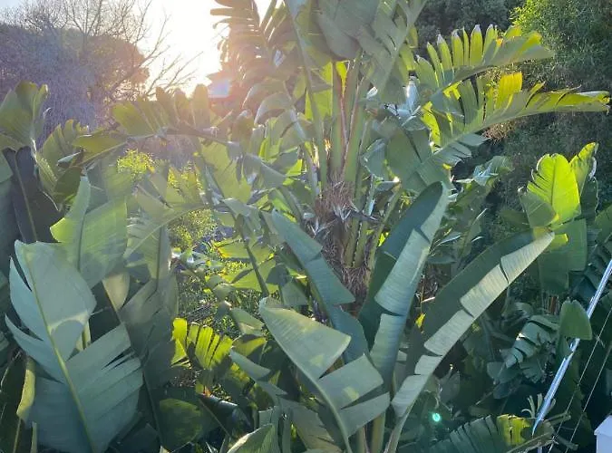 Casa Bodhi Boutique & 5*