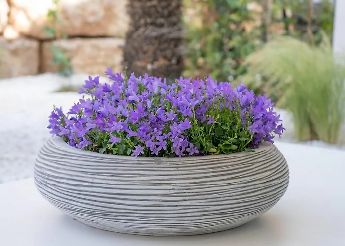 Otel Casa Bodhi Boutique &