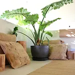 Casa Bodhi Marbella